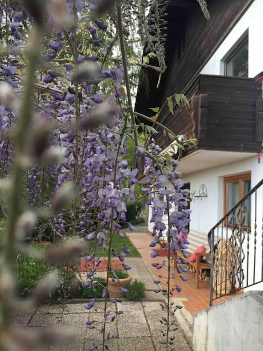 Charmantes Landhaus Mit Garten Und Traumhaftem Fernblick Thal  Экстерьер фото