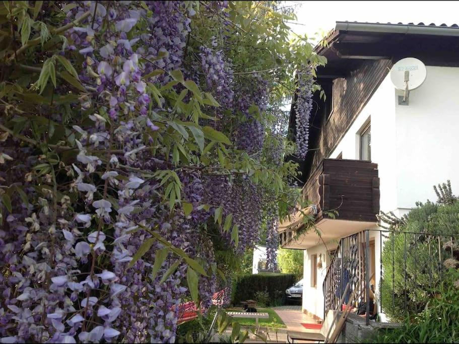 Charmantes Landhaus Mit Garten Und Traumhaftem Fernblick Thal  Экстерьер фото
