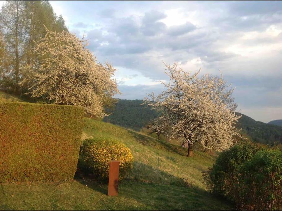 Charmantes Landhaus Mit Garten Und Traumhaftem Fernblick Thal  Экстерьер фото
