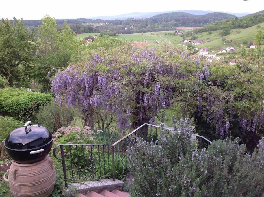 Charmantes Landhaus Mit Garten Und Traumhaftem Fernblick Thal  Экстерьер фото